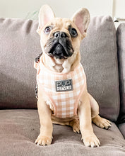 Creme Brulee Harness (Seconds)