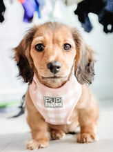 Creme Brulee Harness (Seconds)