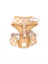 Creme Brulee Harness (Seconds)