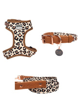 Wild One Style Bundle