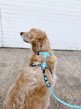 "Santorini" Adventure Strap Harness