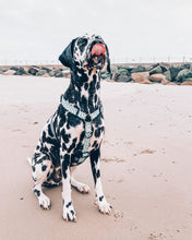 "Santorini" Adventure Strap Harness